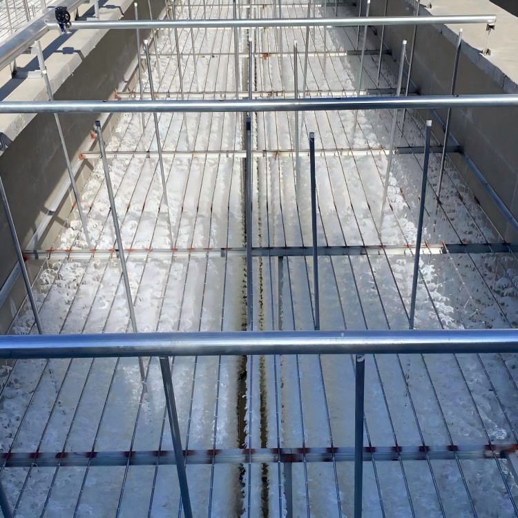 pond bio media wastewater